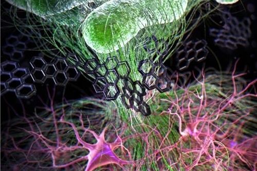 Bilim adamlarından büyük buluş