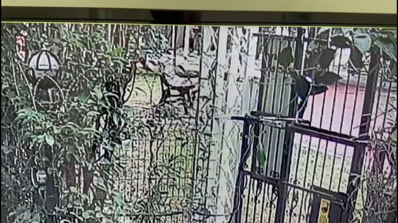 79 yaşındaki adamı yumrukla öldürdü!