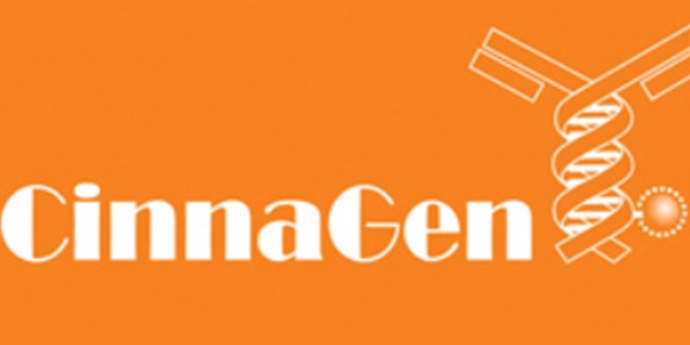 Yeni ihracaat üssü için Türkiye'yi seçtiler