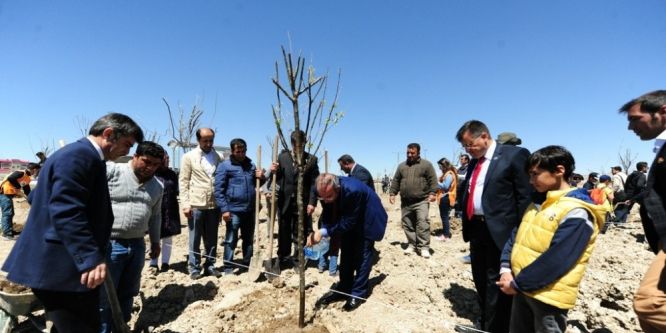 YYÜ’de yeşillendirme çalışması