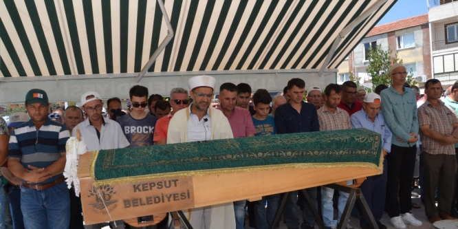 Kulağından arı soktu, kalp krizinden hayatını kaybetti