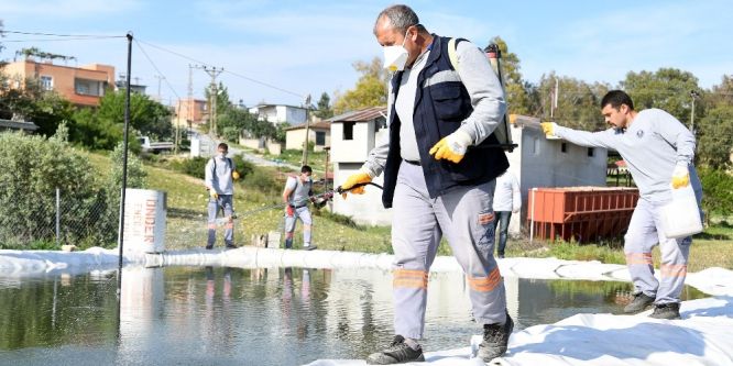 Mersin’de sinekle mücadele çalışmaları sürüyor