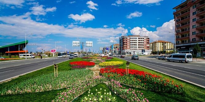 Büyükşehir Belediyesi 174 bin adet lale dikti