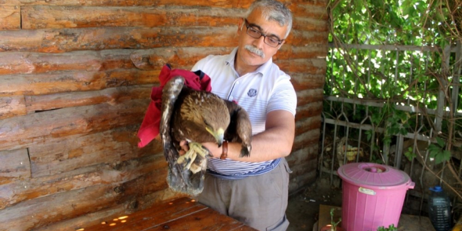 Kaya Kartalı satışına ceza yağdı