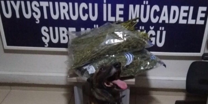 Durdurulan otomobilde 5 kilogram esrar bulundu