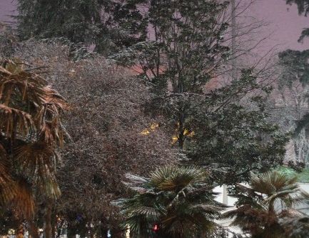 Samsun’da yoğun kar yağışı