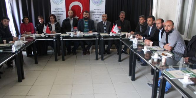 Malatya’da koyun kırkım kursu açıldı