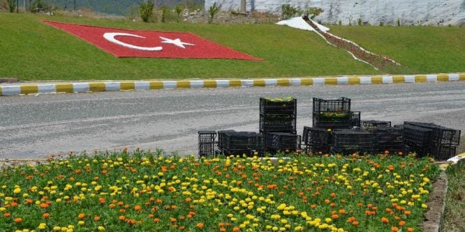 Köyceğiz’de mevsimlik çiçek dikimi