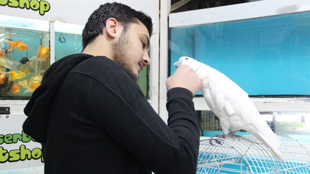 8 bin liralık papağan