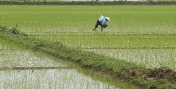 8 Bin yıllık keşif bulundu