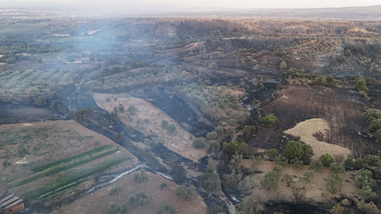 8 günde 4 büyük yangın: 5 bin 236 hektar orman kül oldu
