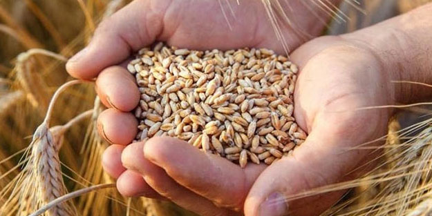 8 milyon ton tahıl stoku yok oldu iddiası! Resmi açıklama geldi
