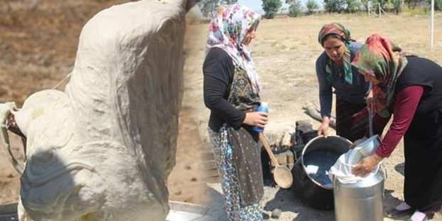 8 saatte aldıkları eğitimle 8 çeşit peynir ürettiler