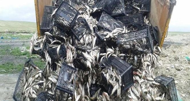 8 ton 580 kilogram kaçak balık ele geçirildi