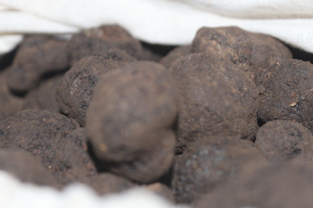 80 kilo trüf mantarı alıcısını bekliyor 