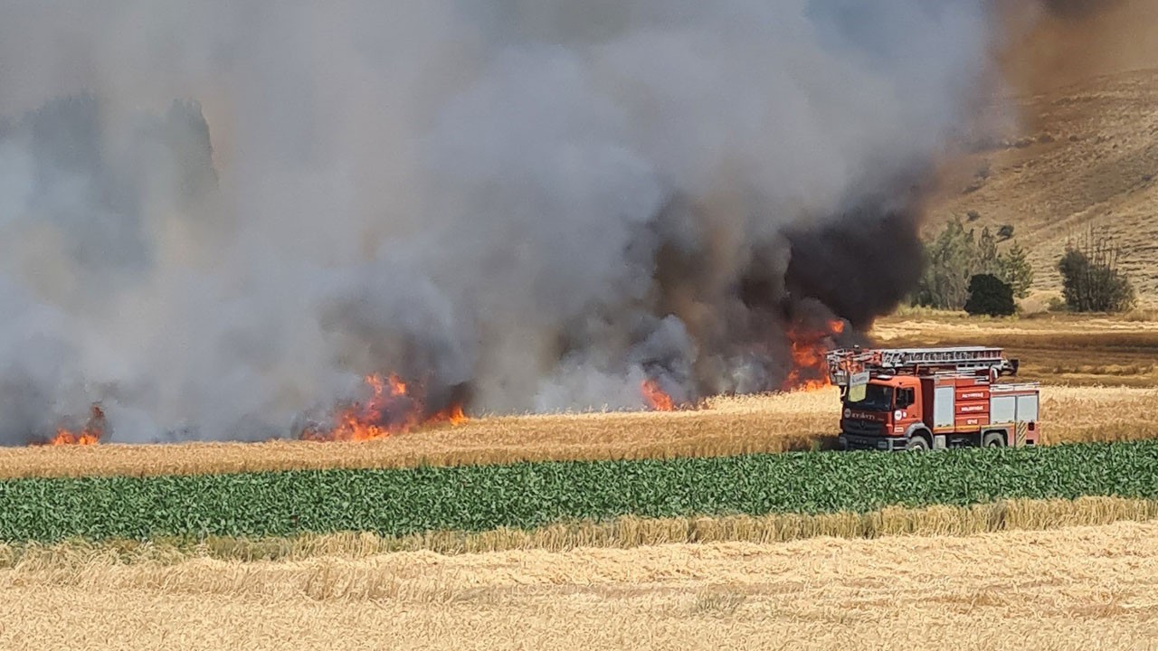 800 dekar ekili alan kül oldu!