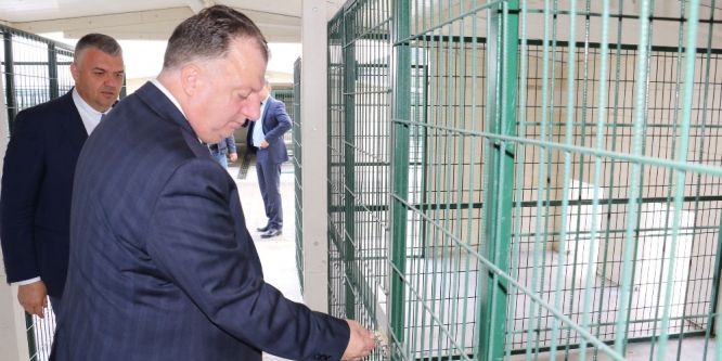 Hayvan barınağı tamamlanmak üzere