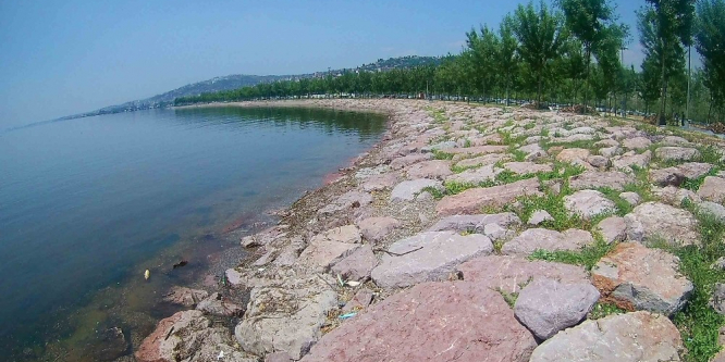 Körfez kıyısındaki atıklar temizleniyor