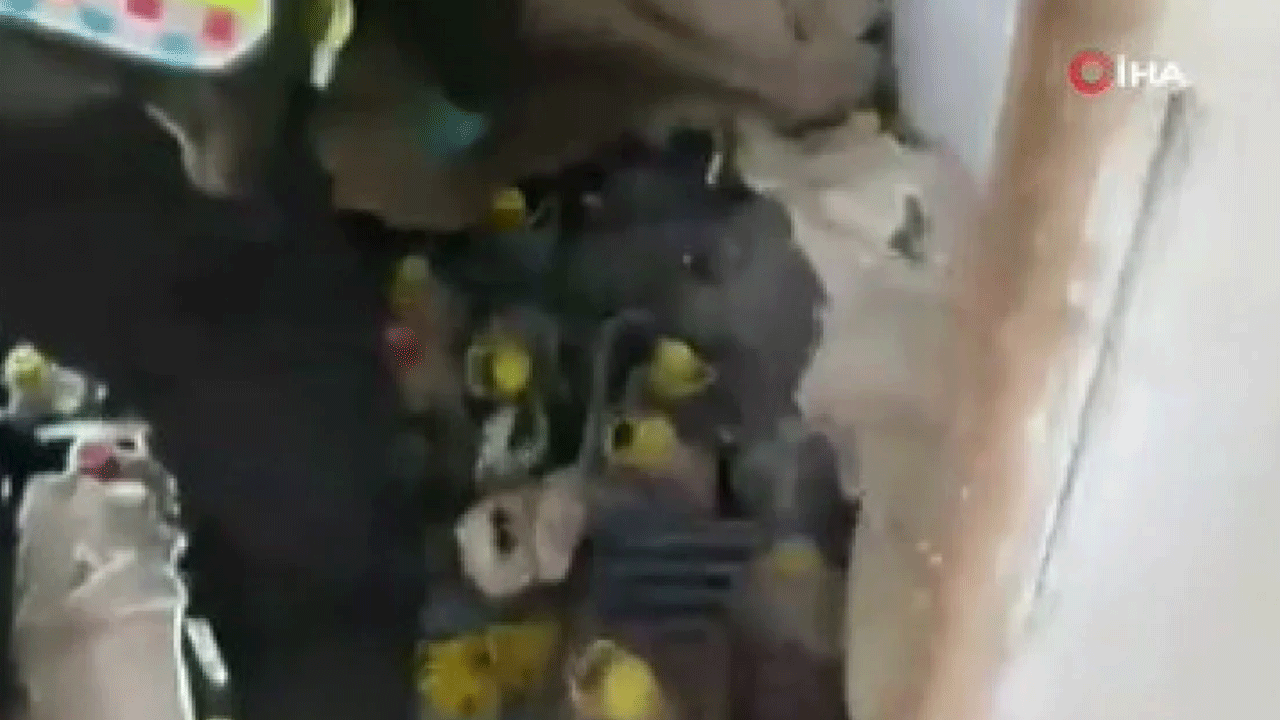 81 ilde dev operasyon: 46 kişi yakalandı!