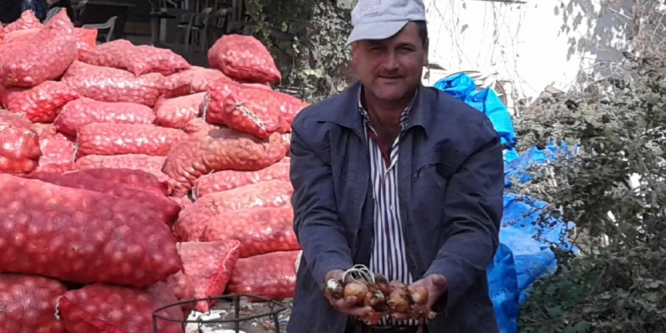 Soğan yüz güldürdü