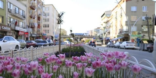Uşak’ta yollar çiçek açtı