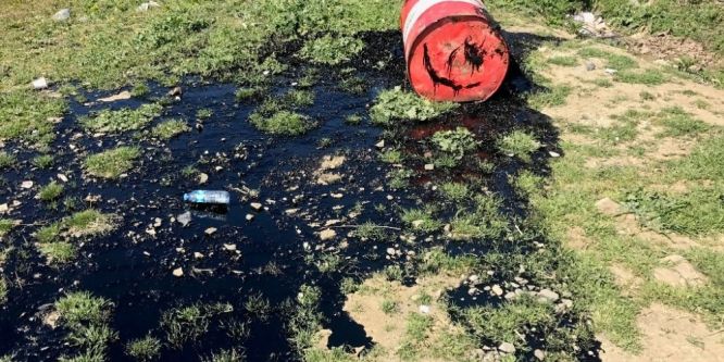 Tekirdağ’da çevre katliamı önlendi