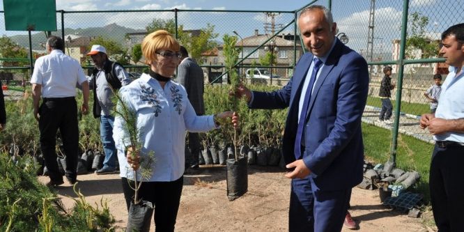 Yüksekova Belediyesi 13 bin fidan dağıttı