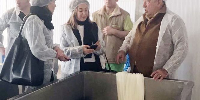 Beyaz peynirin yol haritası çıkarılıyor