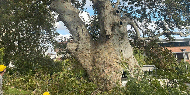 850 yıldır tarihe tanıklık ediyor