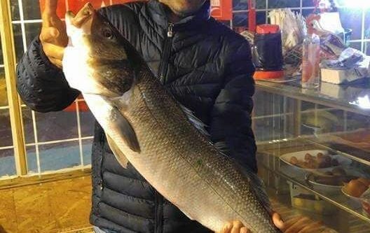 5 kilo ağırlığında levrek yakalandı