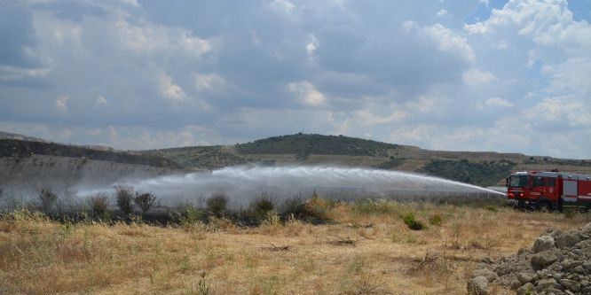 Aliağa OSB’de otluk alanda yangın