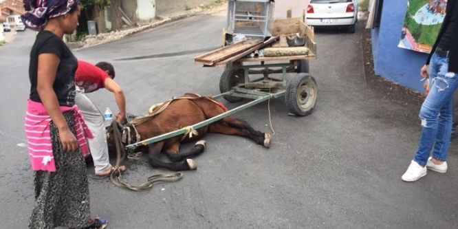 Halk dolmuşu at arabasına çarptı