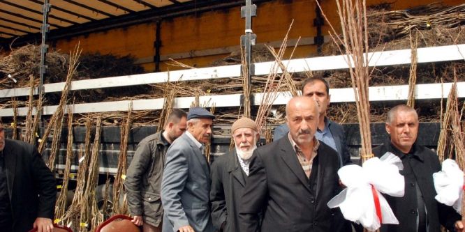 Bitlisli çiftçilere 65 bin adet meyve fidanı dağıtıldı