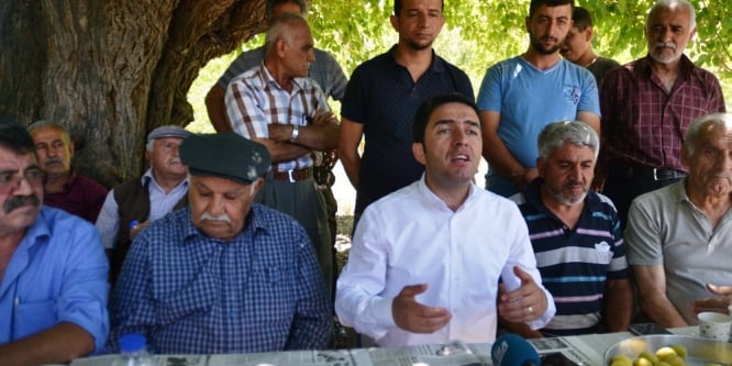 CHP’li Kiraz: Kayısı üreticileri mağdur ediliyor