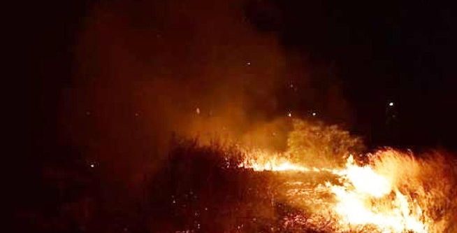 Ormanlık alanda çıkan yangın büyümeden söndürüldü