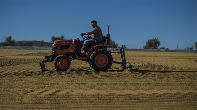 88 ülkeye Güneydoğu bulguru satılıyor