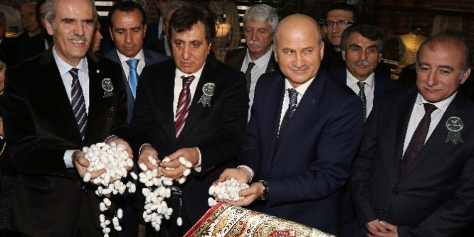 Bursa’da ‘ipek çağı’