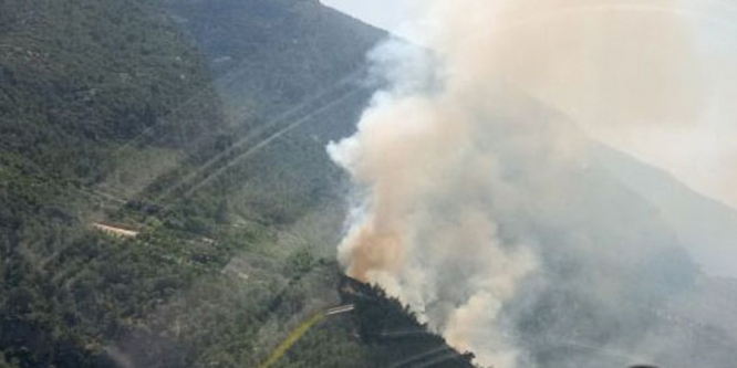 Denizli’nin Çameli ve Kale ilçelerinde orman yangını