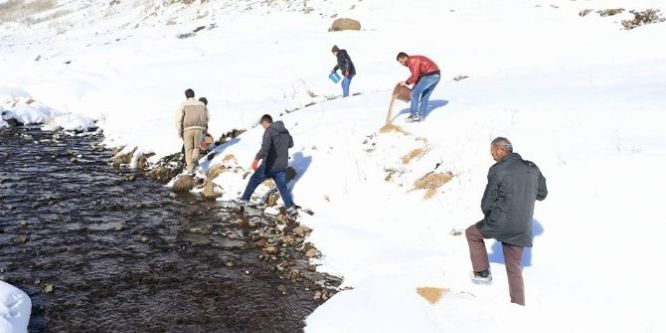 Hayvanlar için yem bıraktılar