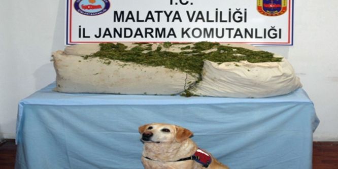 Zehir tacirlerine aman verilmiyor