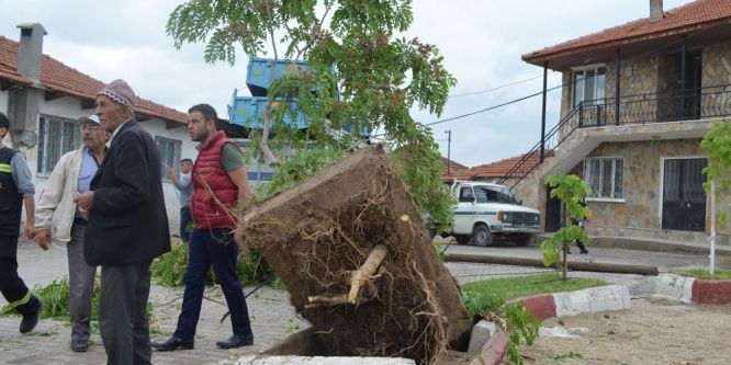 Sokağa giren TIR ortalığı birbirine kattı