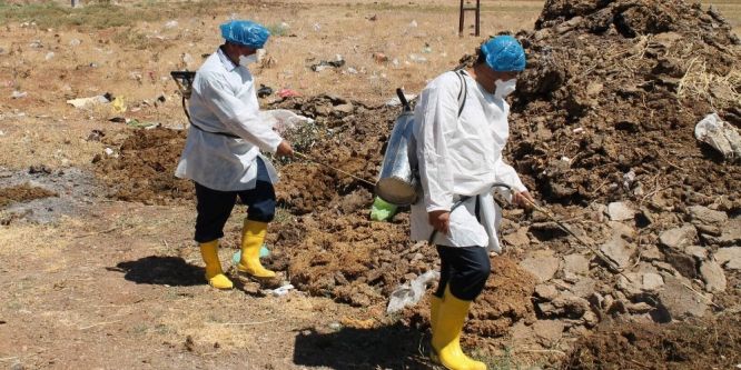 Köylerde sinekle mücadele