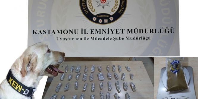 Kastamonu’da uyuşturucu operasyonu