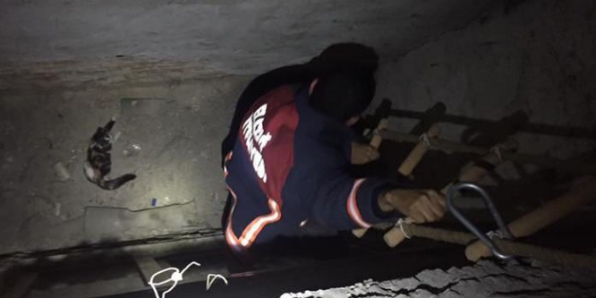 Havalandırma boşluğuna düşen kediyi itfaiye kurtardı