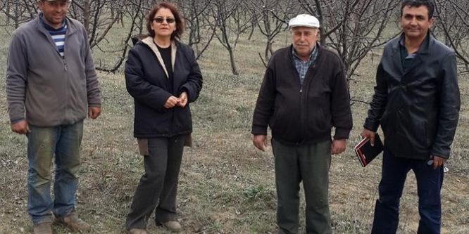 Elma üreticilerine eğitim verildi