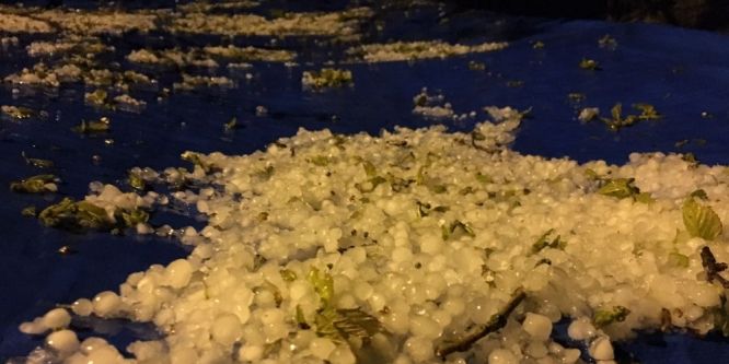 Sinop’ta dolu yağışı