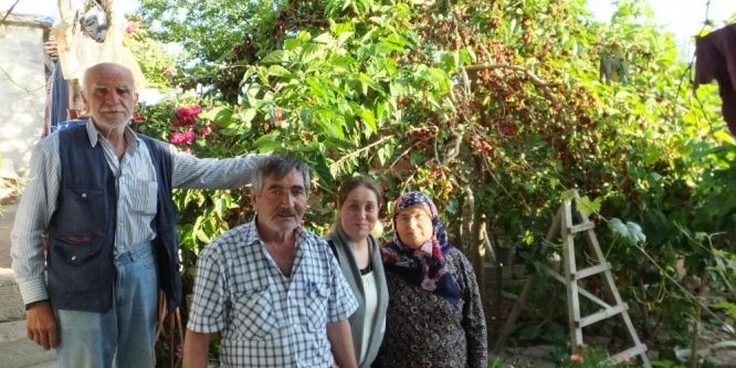 Şifalı karadut hasadı başladı