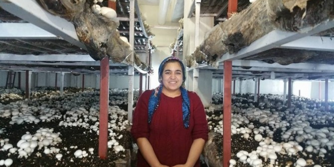 Songül Kadıoğlu, Kültür mantarı tesisini ziyaret etti