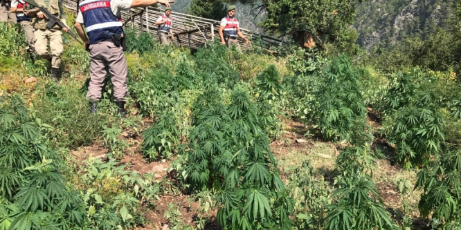 Mersin’de uyuşturucu operasyonu: 5 gözaltı