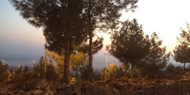 Kilis'te Recep Tayyip Erdoğan mesire alanı ışıklandırıldı